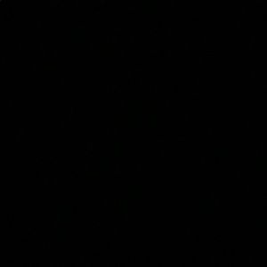 Meet your Posher, Chantel